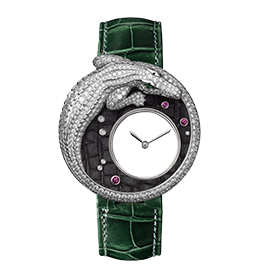 Mysterious Crocodile