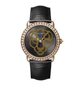 Révélation d'une Panthère