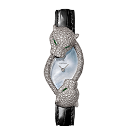 Panthère face-to-face