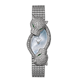 Panthère face-to-face